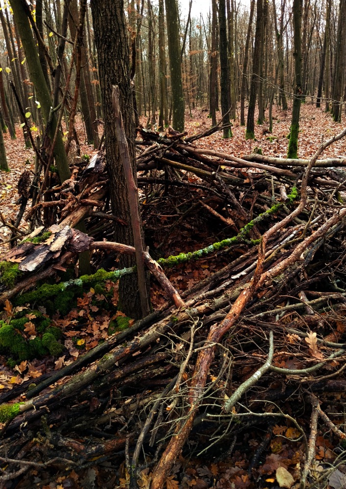 53CF4932-C917-4C8A-81B5-8A2763F71D30