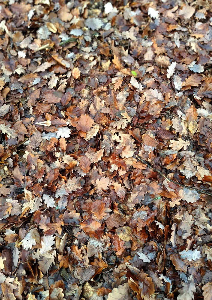 3C4B5C8C-7591-4EAD-A8BE-229C18A77827