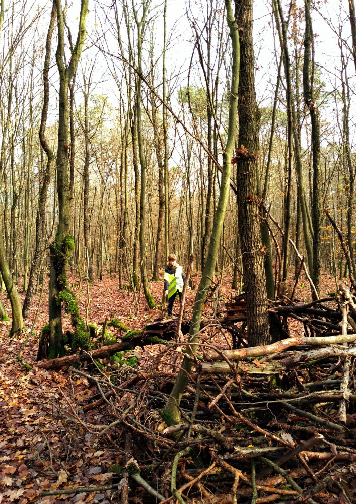 62D37718-7D51-4735-8016-94F5112B6B0B