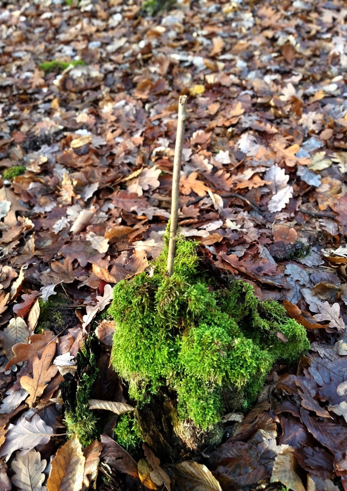 292AAC03-5E74-4997-9133-E5AB434D6D49