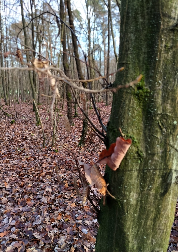 AC3D5101-8616-4862-8C6C-419DAA3055E3