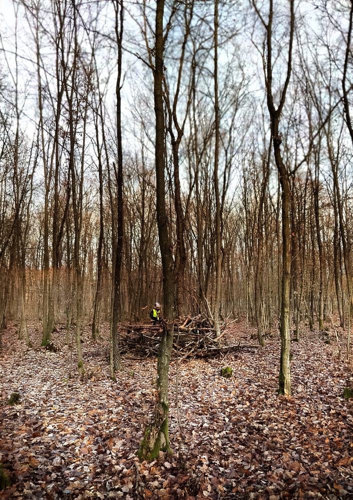 B4499689-5C0C-4DD3-AC03-B3A0481C1295