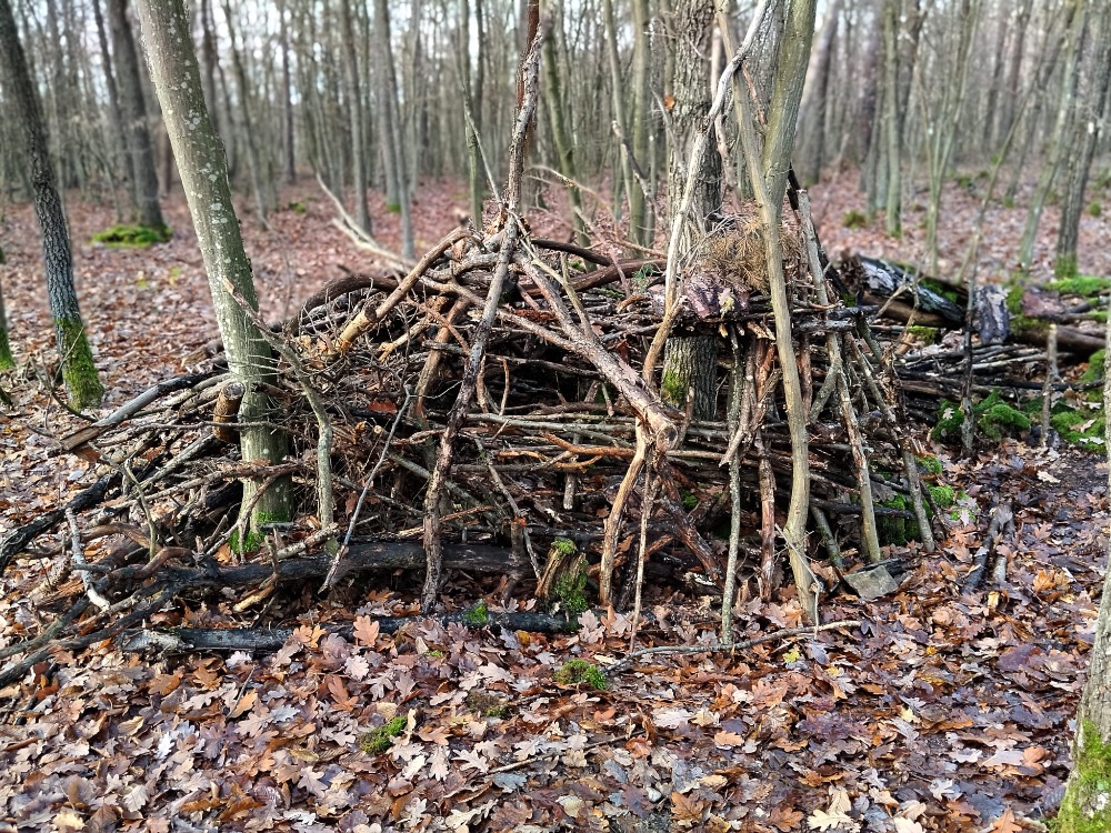 D60F9956-8E93-4531-8DC9-7B71F2FAD690