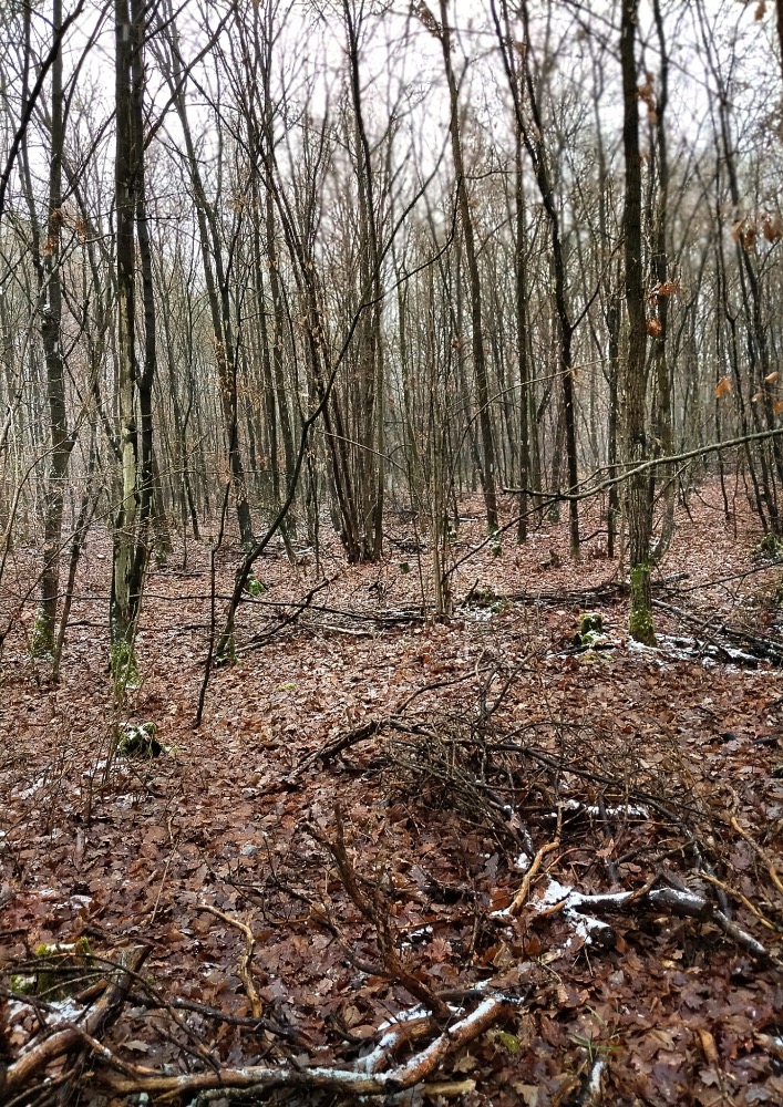 66310091-9A3F-41F9-81E5-DE58B07A7EC7