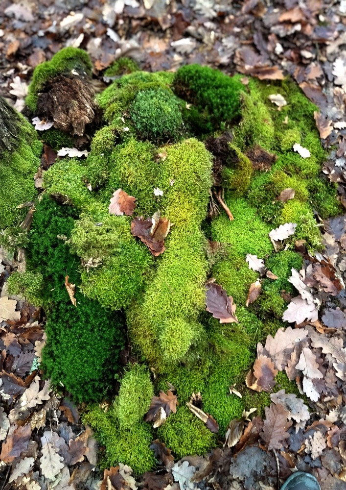 D9BE3EA2-6290-4F66-9828-151AC29BF46E