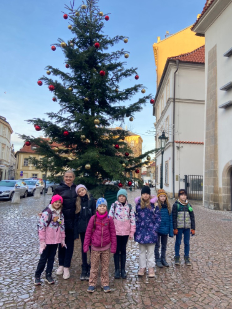 076D900B-24AE-4FAF-A38B-93D0F54BC225