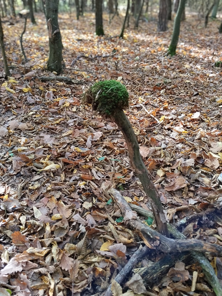 8B53FB44-6D9F-4934-B9DC-D4285B995252