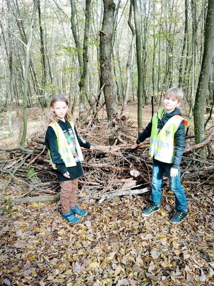 386CFC62-CE1A-428C-BB41-7E7EBB9FC74A