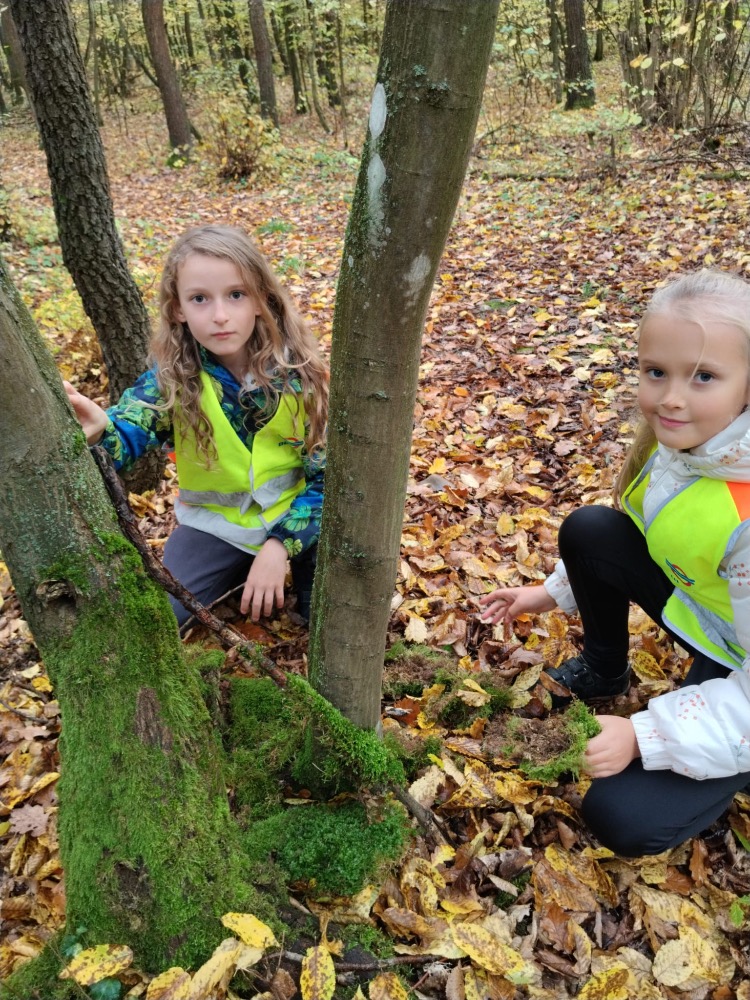 6E4364B5-F41C-4973-A257-11D04BEF332E