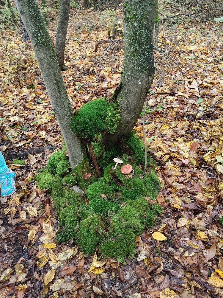 2210D946-3EBF-4129-9805-15D43D70CBA5