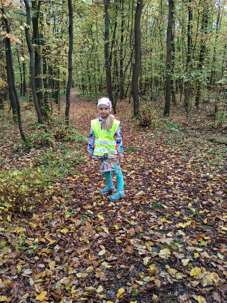 90862FE0-1F66-4C2D-8E65-53F8950ED1F7