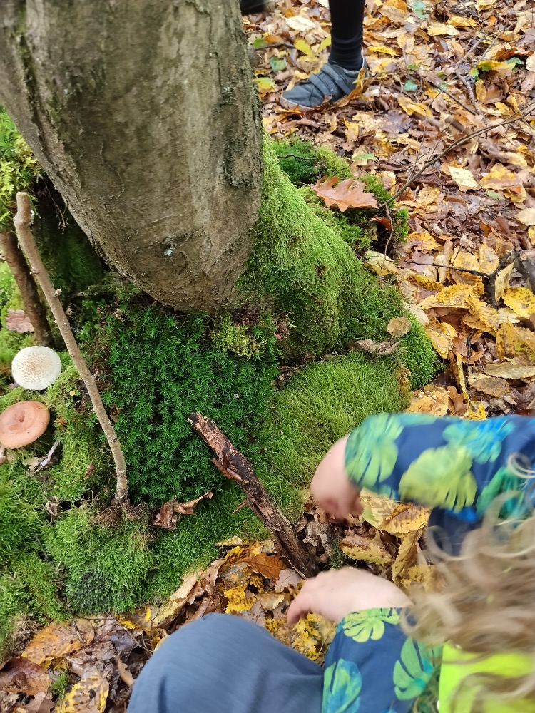 A9EB3A07-08A0-4CA2-A5F5-C74B238E130D