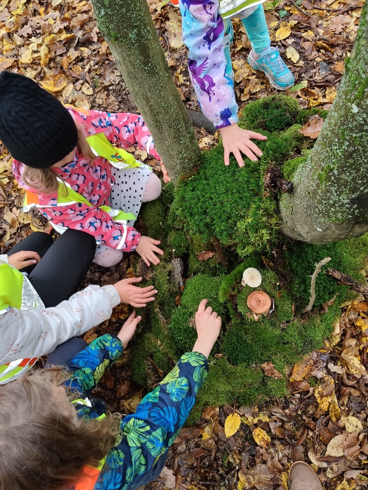 C65A2C1A-D3D4-4B1B-8CEF-60CEEAD67D19