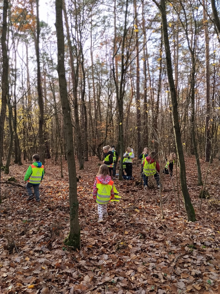 00678C67-D1F2-4702-A536-E7076D5B30B3