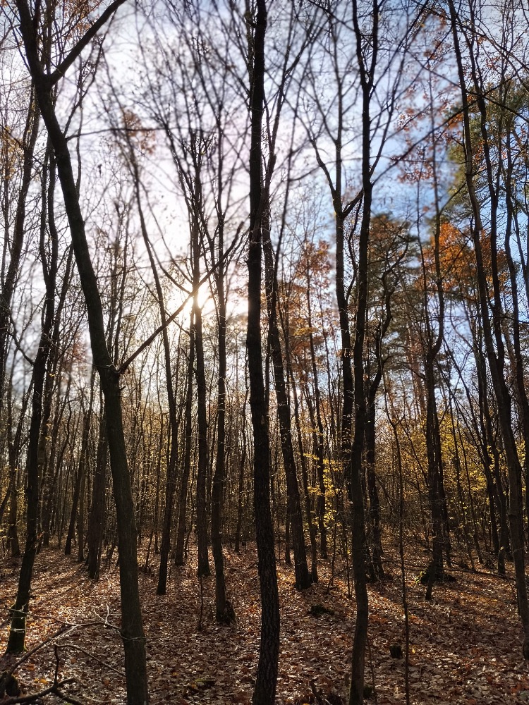 44277D97-A532-4C86-B4BA-0BA151D0F36C