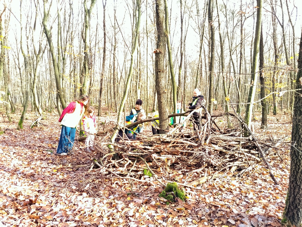 DE9D4797-663A-4C51-B8A7-4C5FEB5D393A