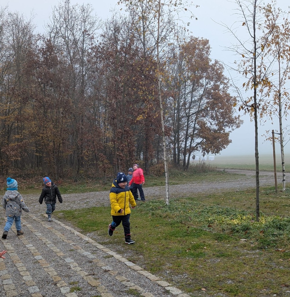 1541EF3A-977F-4E11-B187-E8A756C114F3